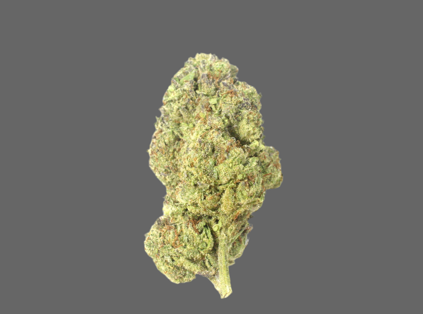 Sundae Driver, 29.766% THCa