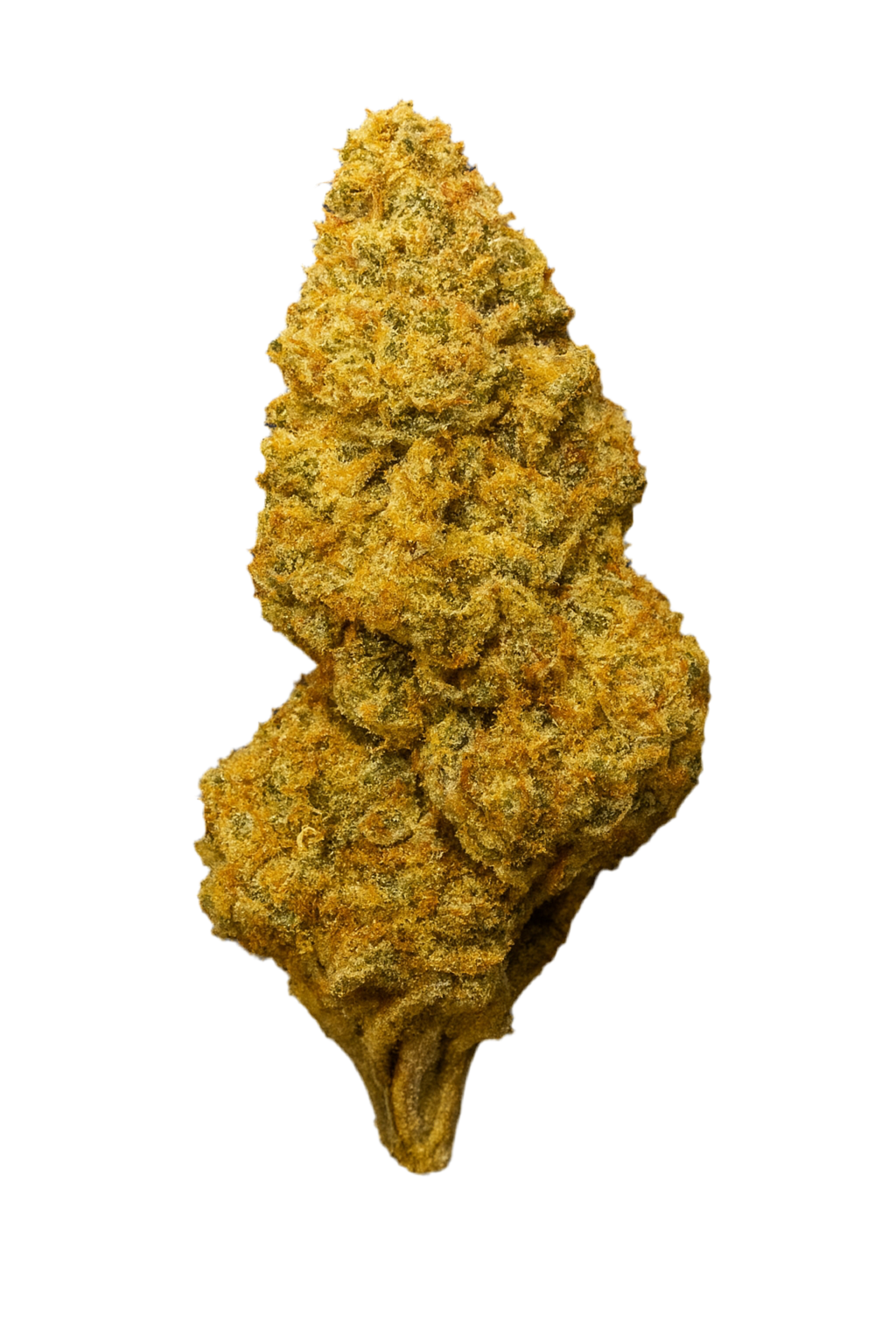 Runtz (Hybrid), 26.396% THCa
