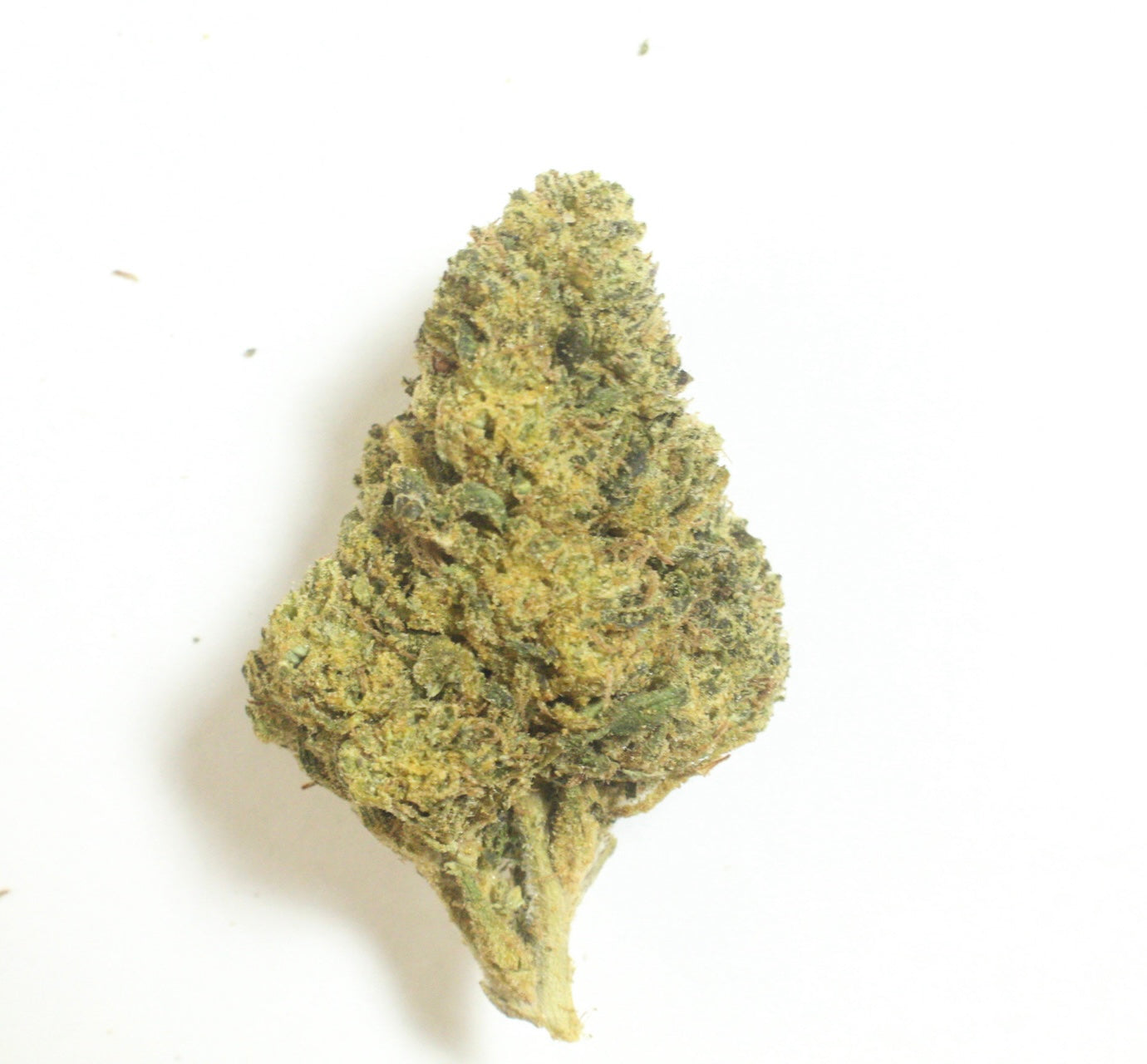 Runtz (Hybrid), 26.396% THCa