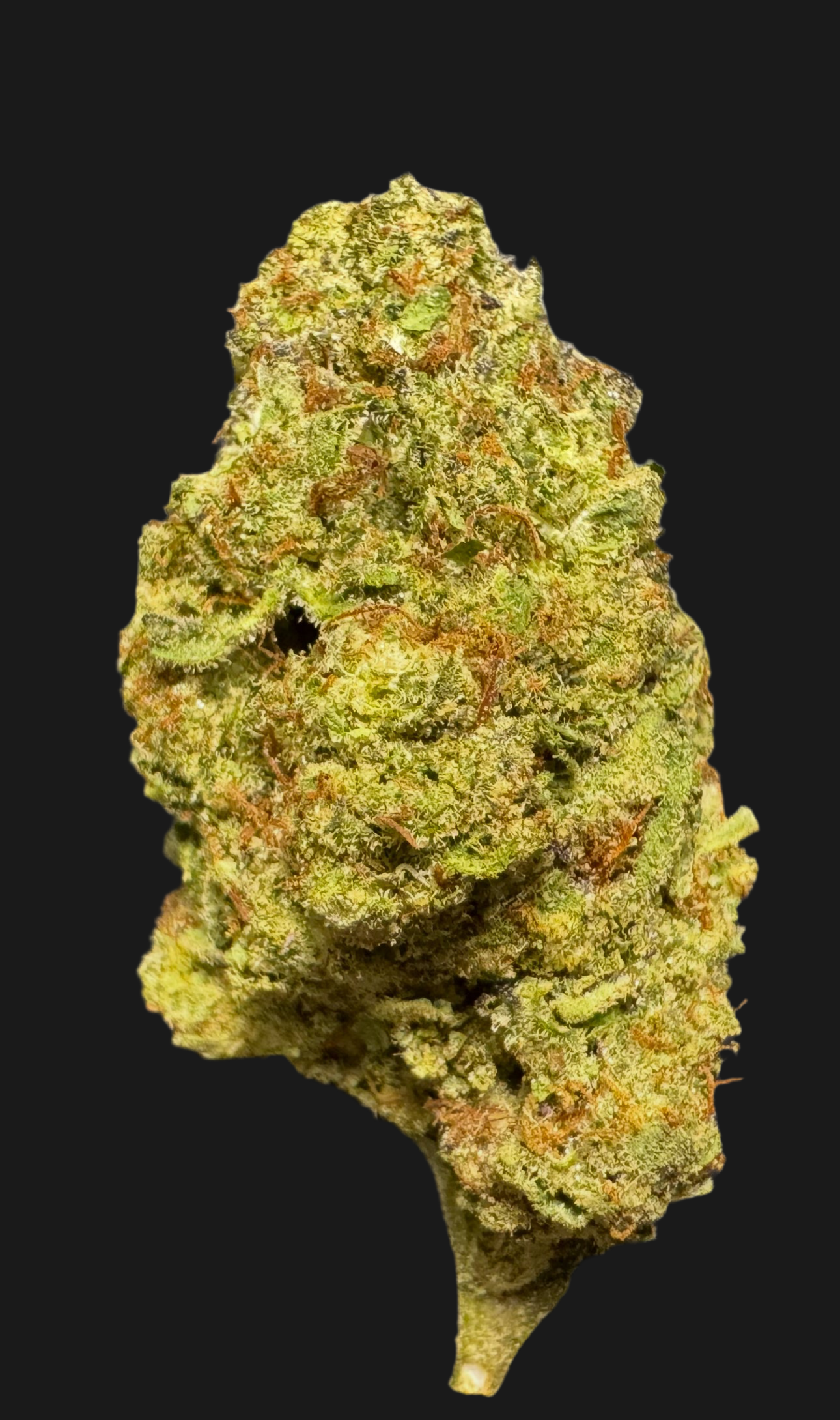 Sundae Driver, 29.766% THCa