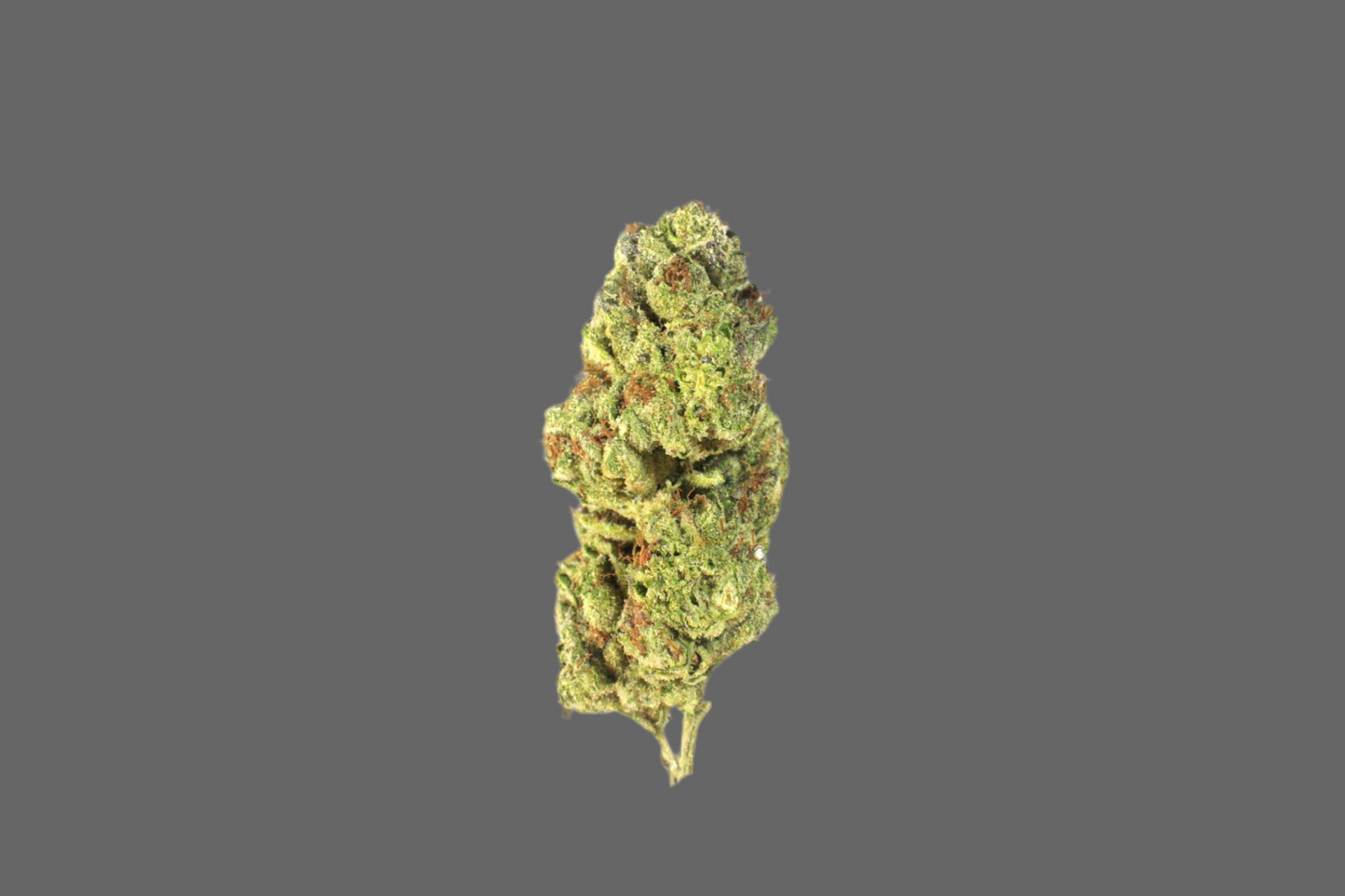 Sundae Driver, 29.766% THCa