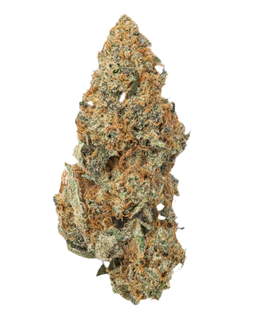 Green Apple (Sativa), 18.18% CBD