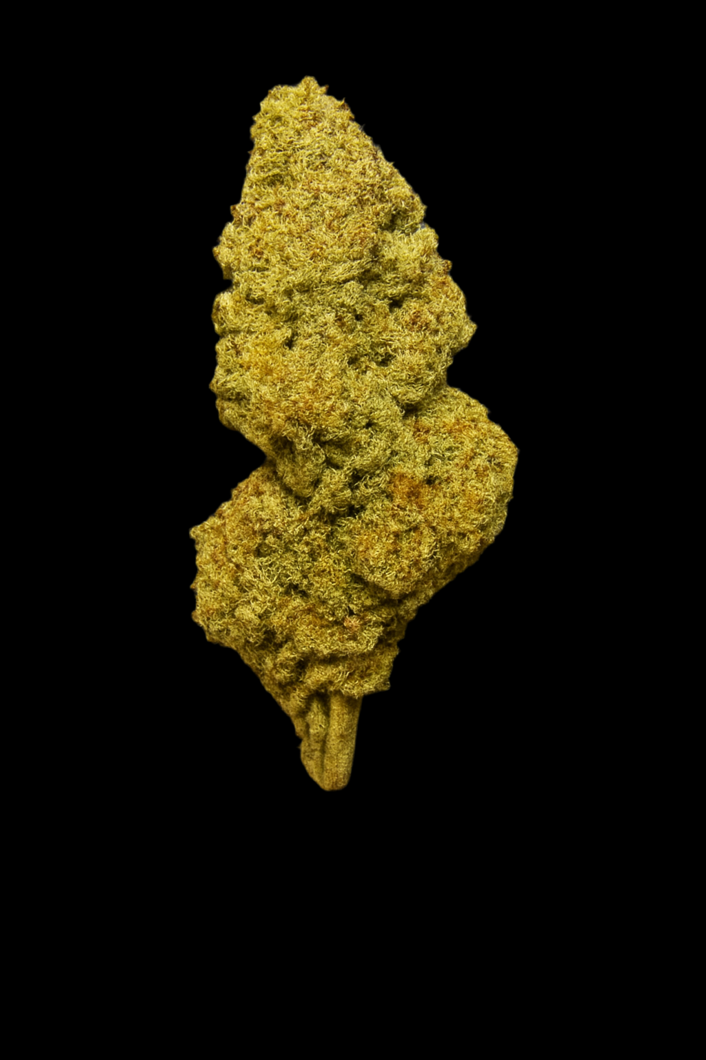 Runtz (Hybrid), 26.396% THCa