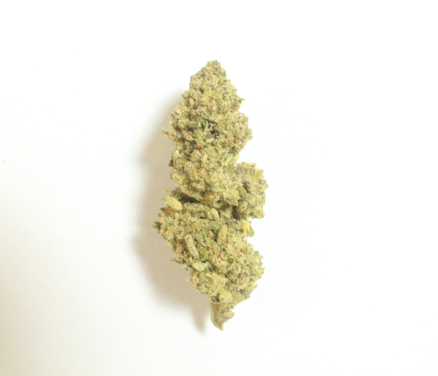 MAC1 (Hybrid), 22.50% THCa