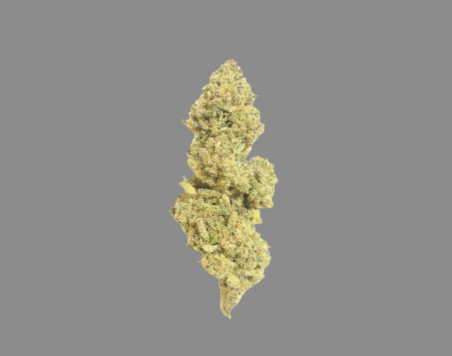 TFCC, Two Ounce Special