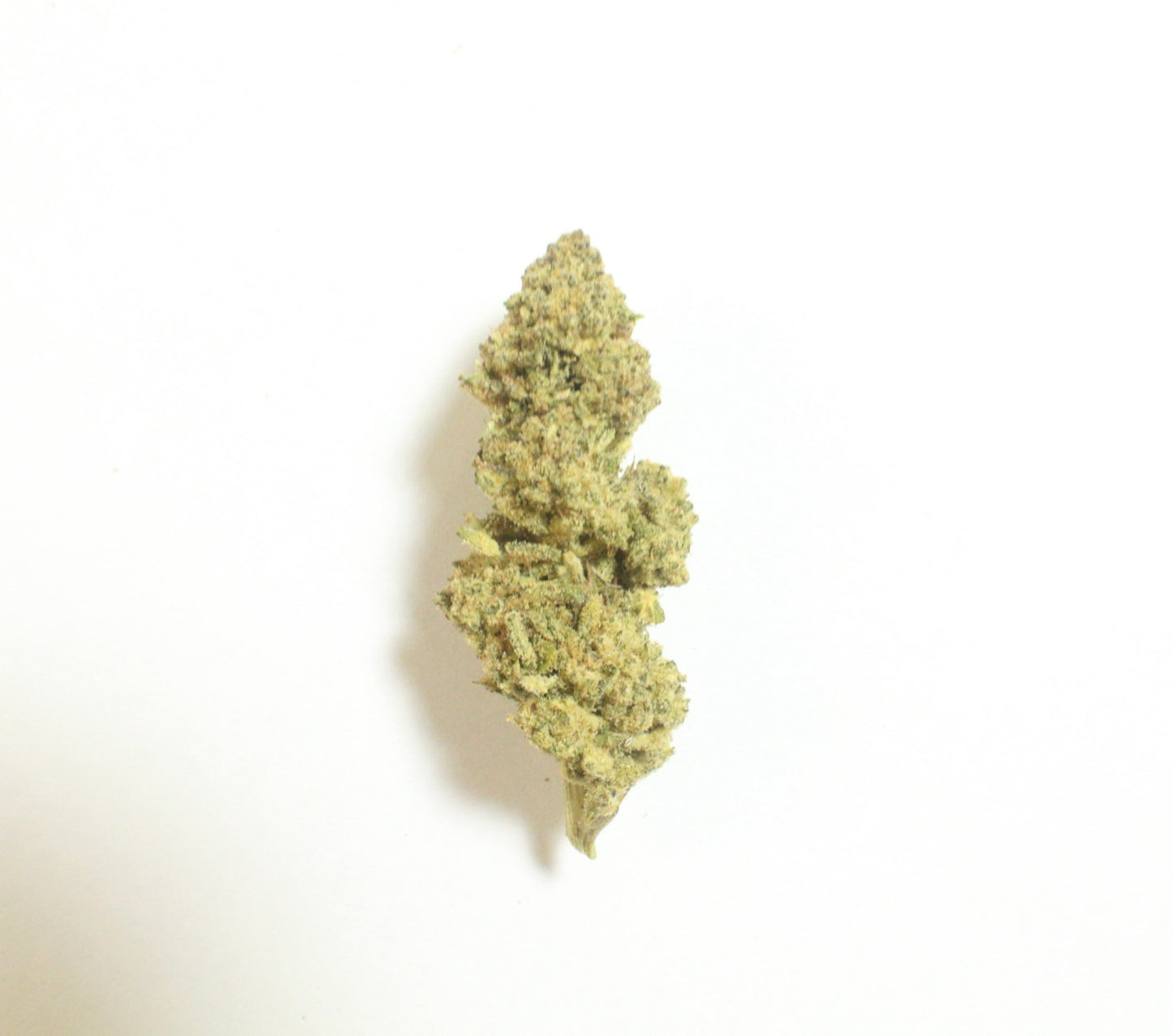 MAC1 (Hybrid), 22.50% THCa