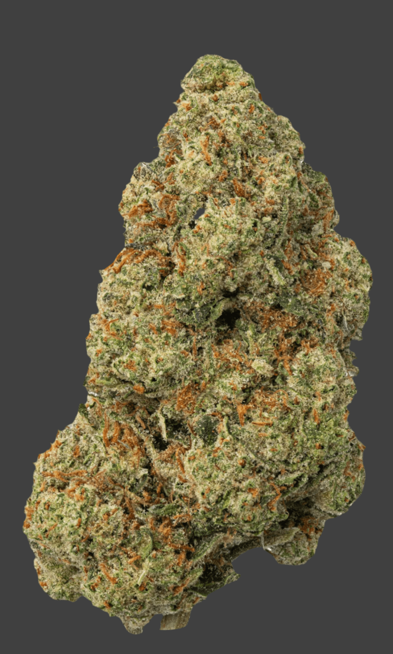 Dosido (Hybrid), 25.190% THCa