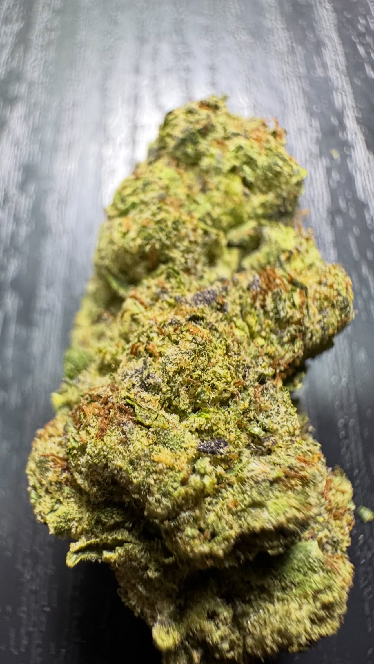 Sundae Driver, 29.766% THCa
