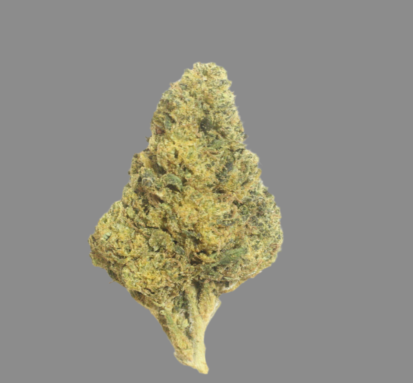 TFCC, Two Ounce Special