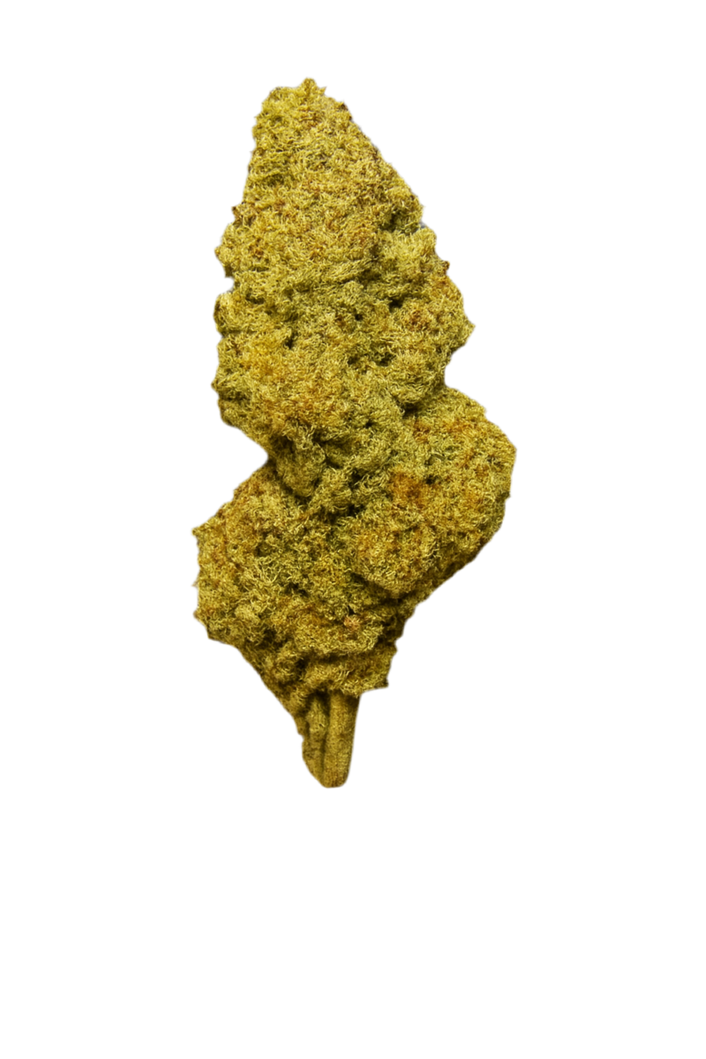 Runtz (Hybrid), 26.396% THCa
