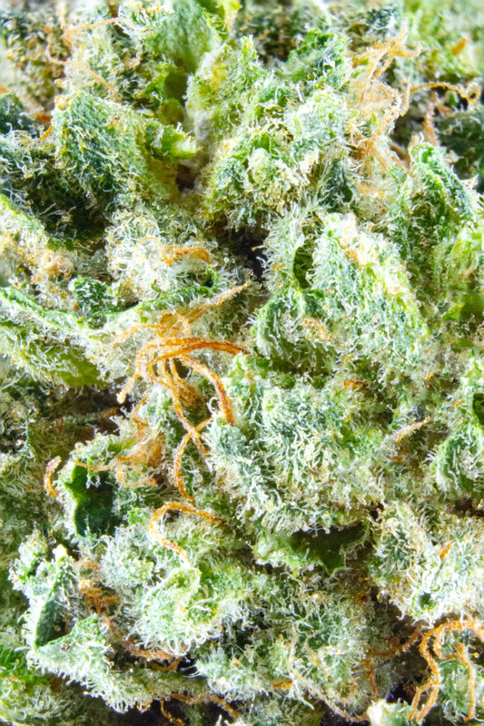 Flyin' Orion [smalls] (Indica) (Type 2), 7.23% THCa/12.4% CBDa, 21.29% Total Cannabinoids, (<0.3% Delta-9 THC)