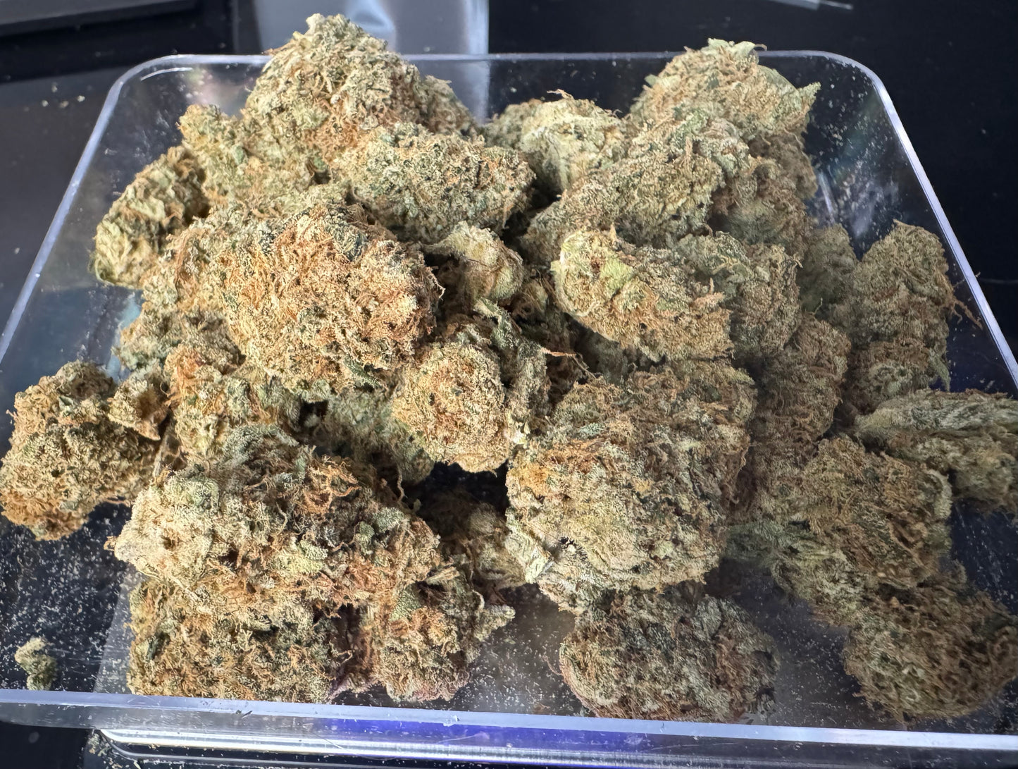 Green Apple (Sativa), 18.18% CBD