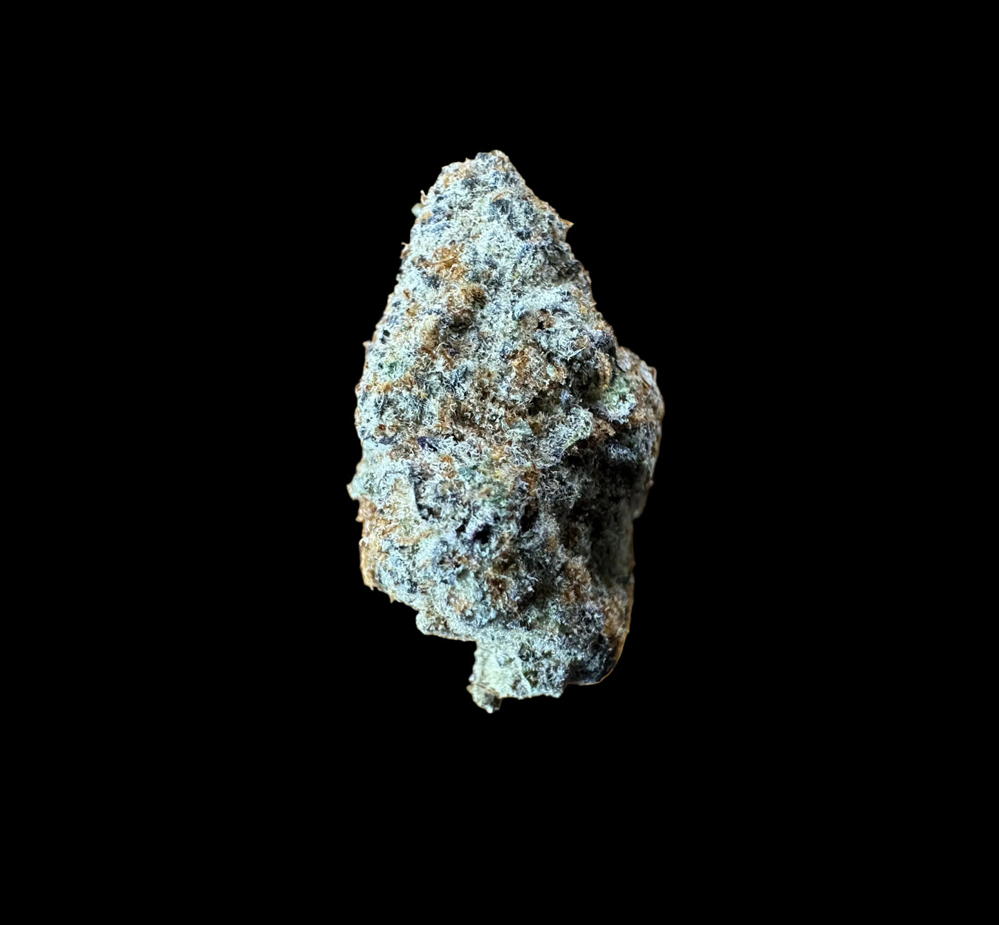 Astro (Type 1) [Exotic], 26.375% THCa, (<0.3% Delta-9 THC)