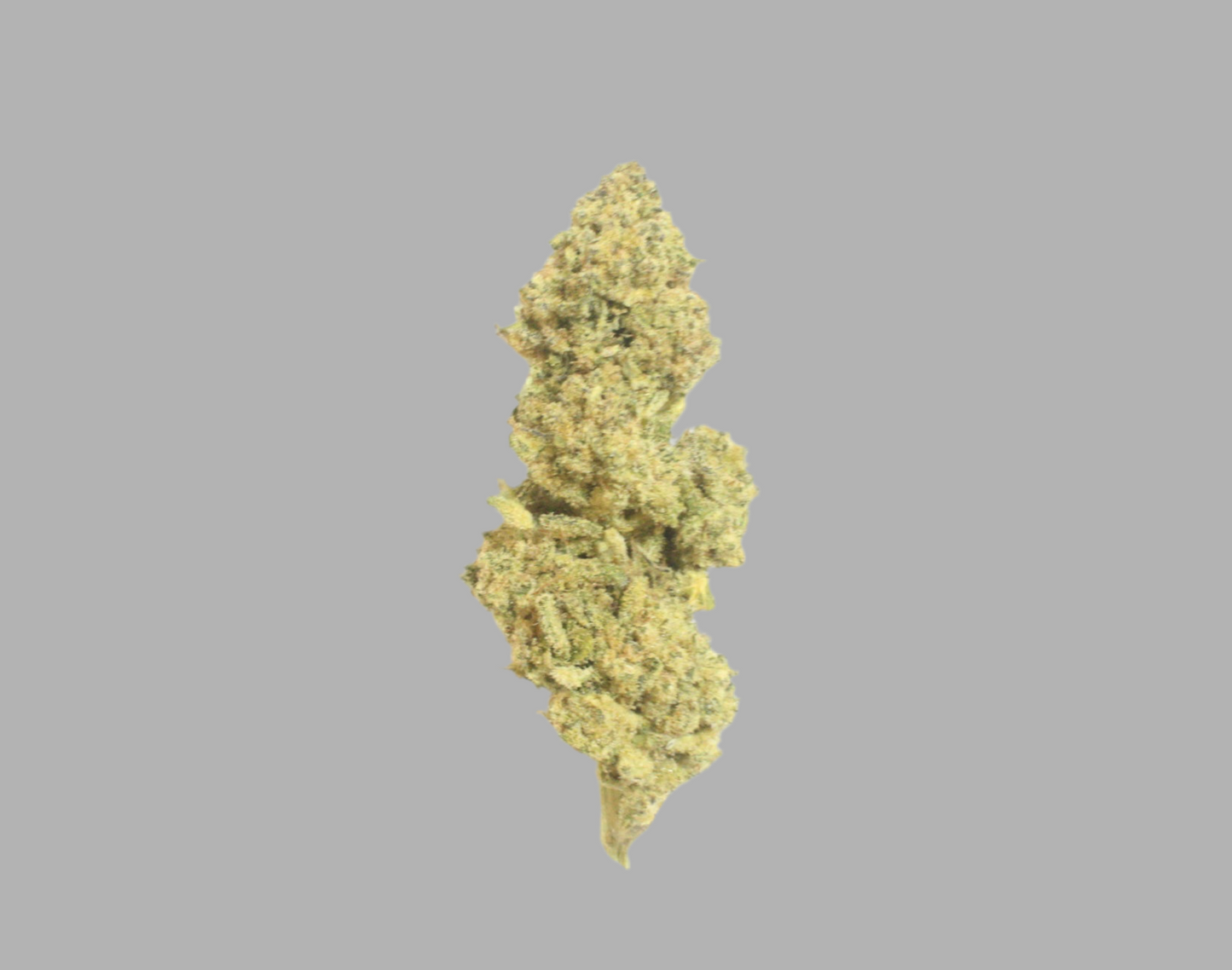 MAC1 (Hybrid), 22.50% THCa