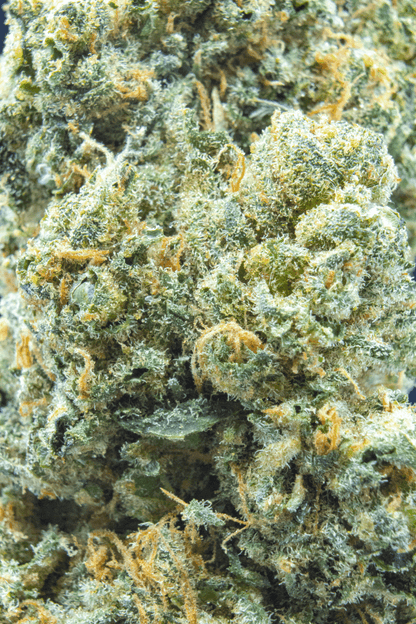 Lazy Lightning [smalls] (Hybrid) (Type 2), 13.023% Total CBD/10.342% THCa, 26.613% Total Cannabinoids
