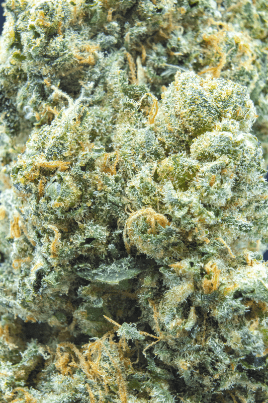 Lazy Lightning [smalls] (Hybrid) (Type 2), 13.023% Total CBD/10.342% THCa, 26.613% Total Cannabinoids (Coming soon...)