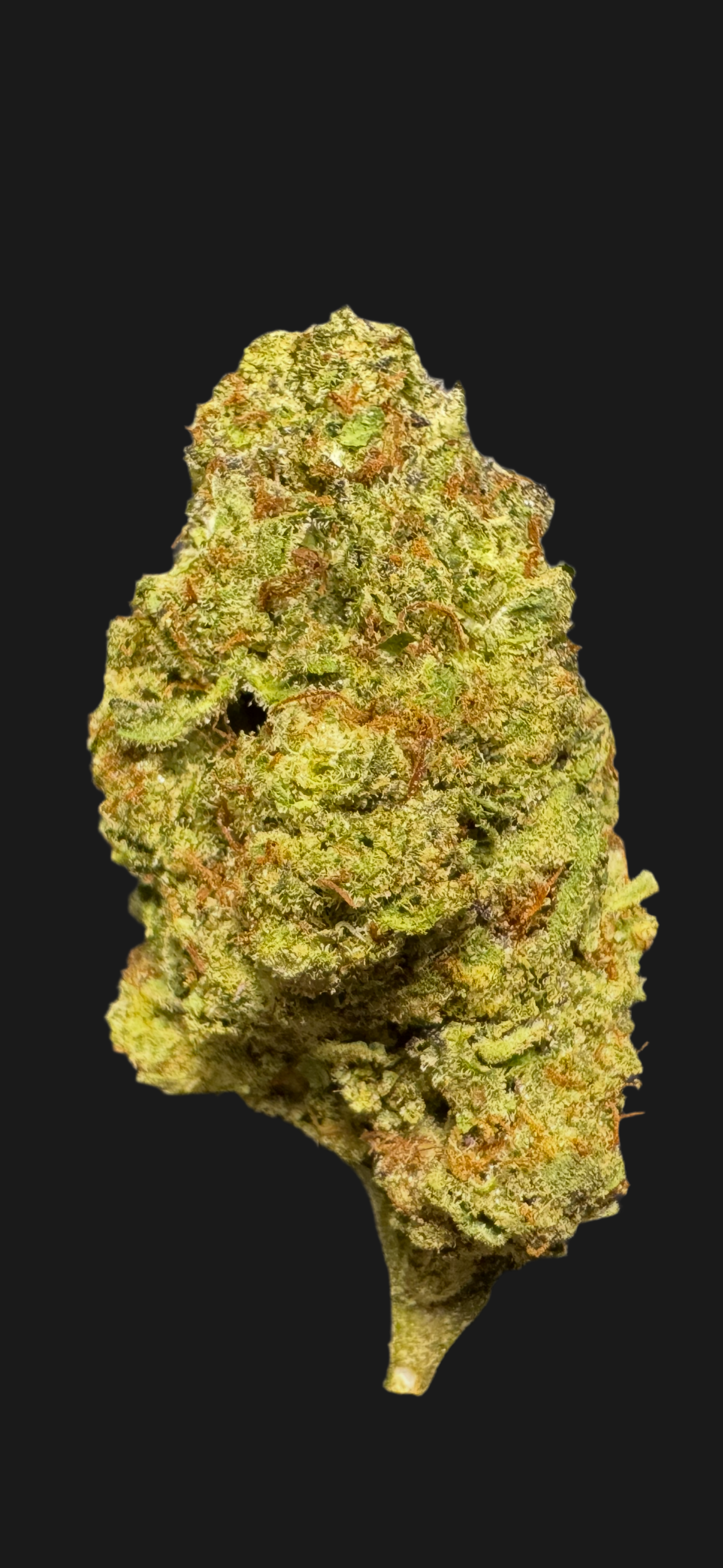 Sundae Driver, 29.766% THCa