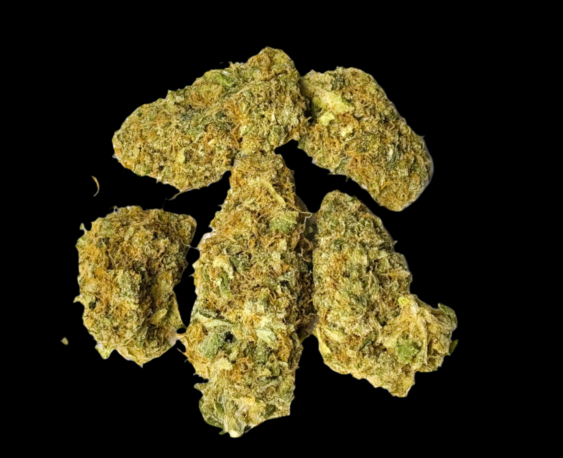 Green Apple (Sativa), 18.18% CBD