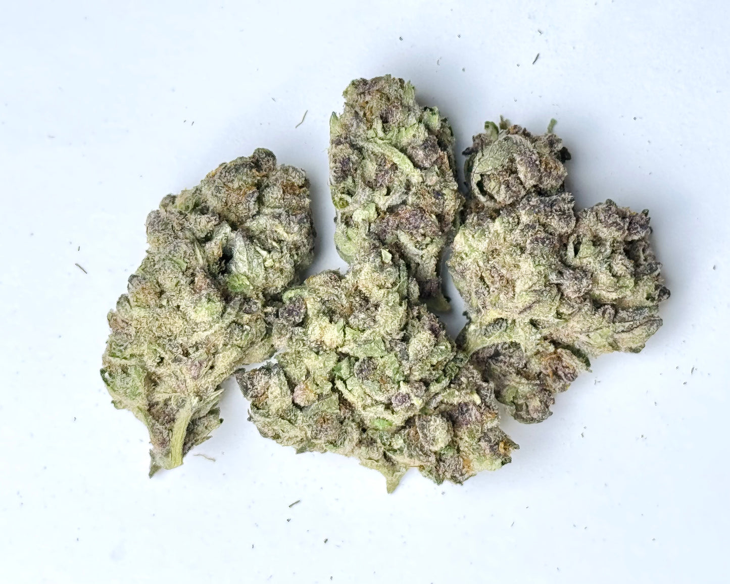 No Drama Llama (Indica), 24.89% THCA