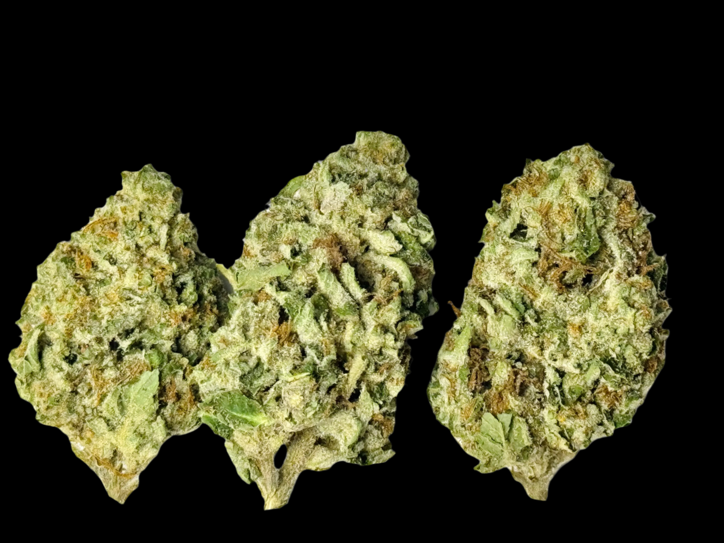 OG Chem [Hybrid], 33.39% THCA