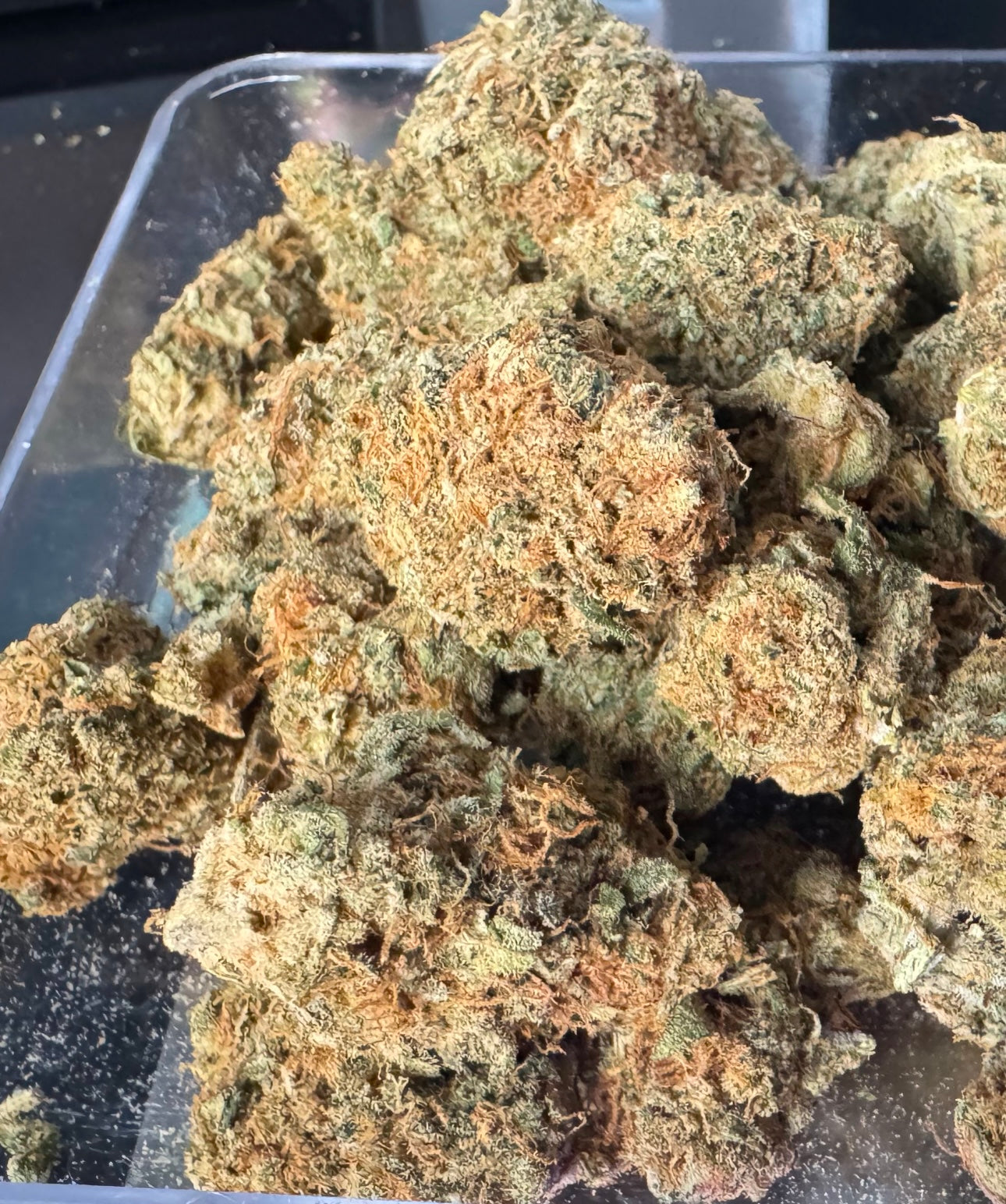 Green Apple (Sativa), 18.18% CBD