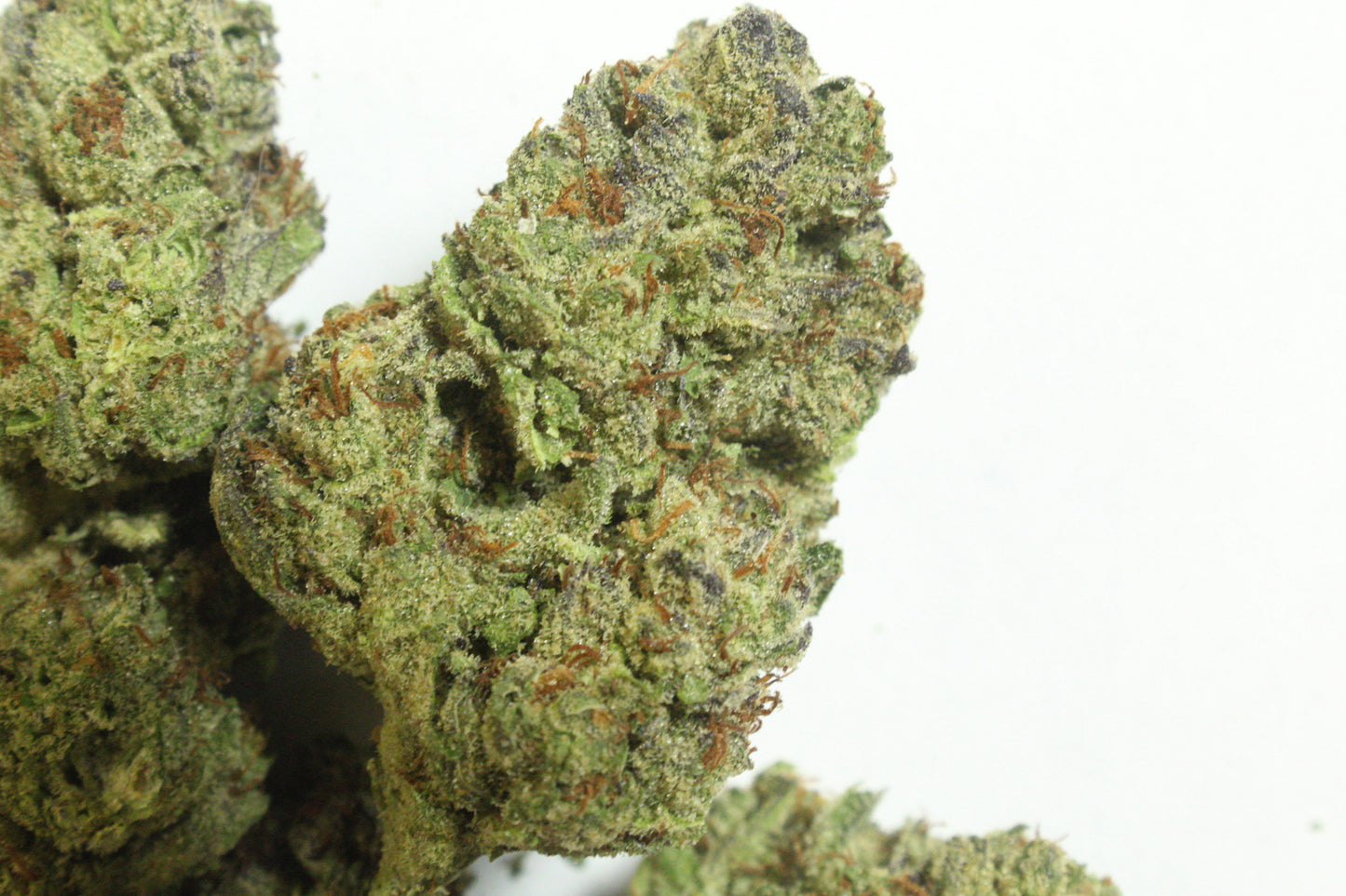Sundae Driver, 29.766% THCa