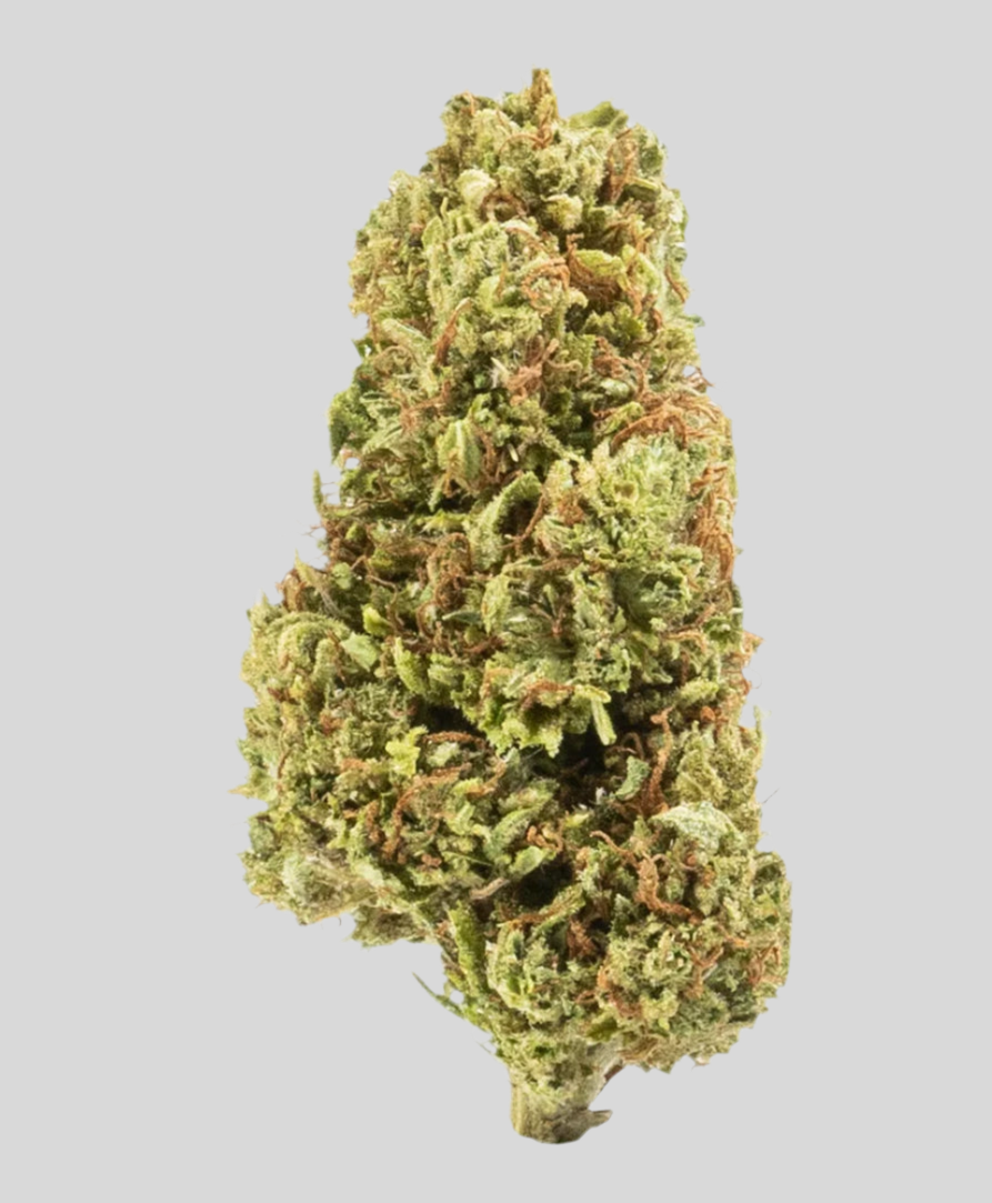 Forbidden V, 12.1% CBDa/7.1% CBDVA (5% of each sale goes to Organization for Autism Research) (<0.3% Delta-9 THC)