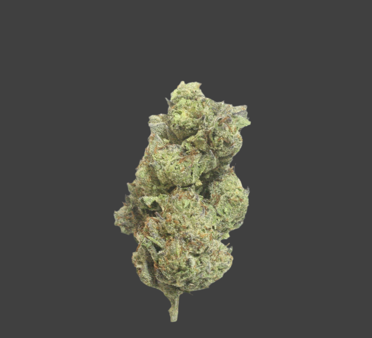 TFCC, Two Ounce Special