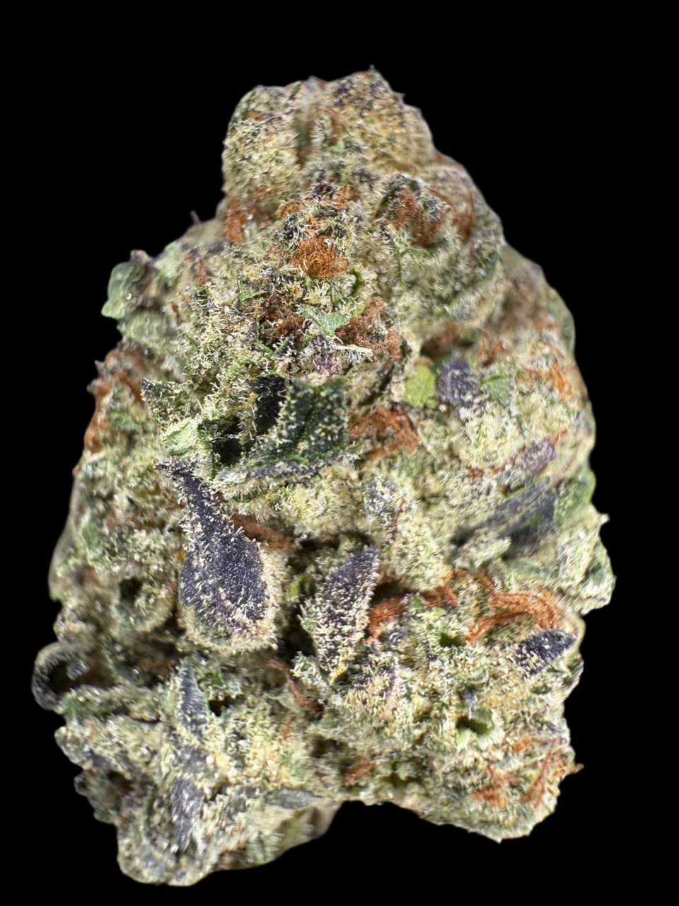 GMO (Garlic Cookies), 29.44% THCa