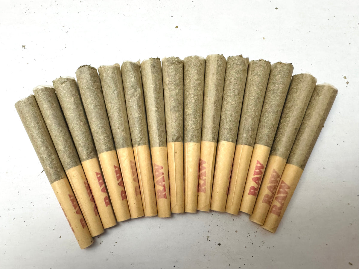 Blue Dream Bubble Hash-Infused Gary Payton Dogwalkers, 21-Count