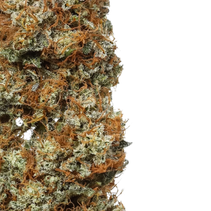 Orange Glaze (Indica) (Type 3), 11.059% CBDa/0.480% THCa, (<0.3% Delta-9 THC) (Coming Soon…)