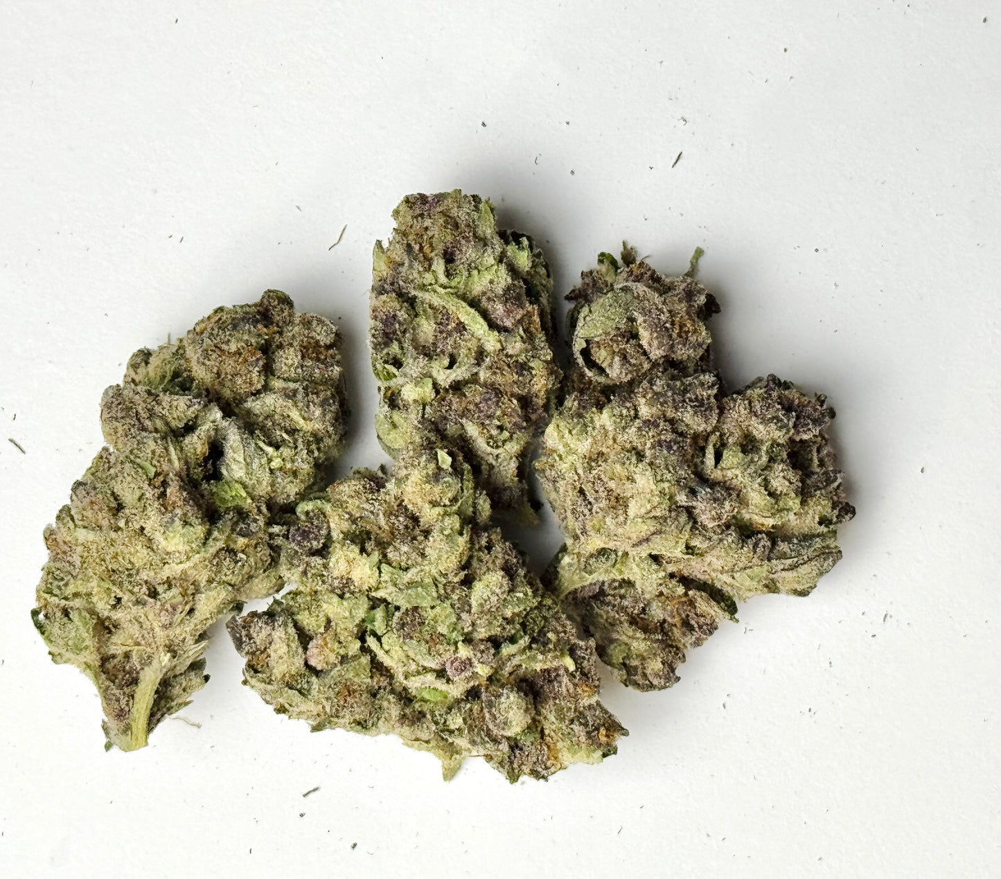 No Drama Llama (Indica), 24.89% THCA