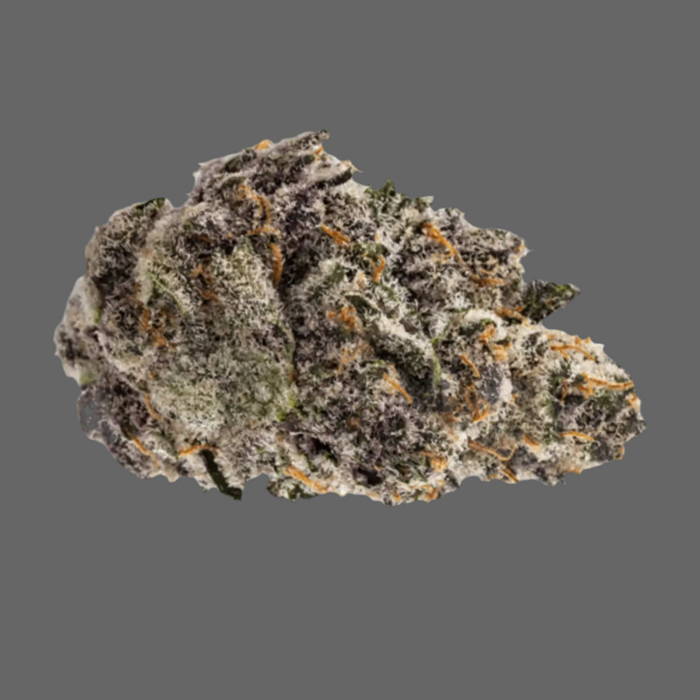 No Drama Llama (Indica), 24.89% THCA