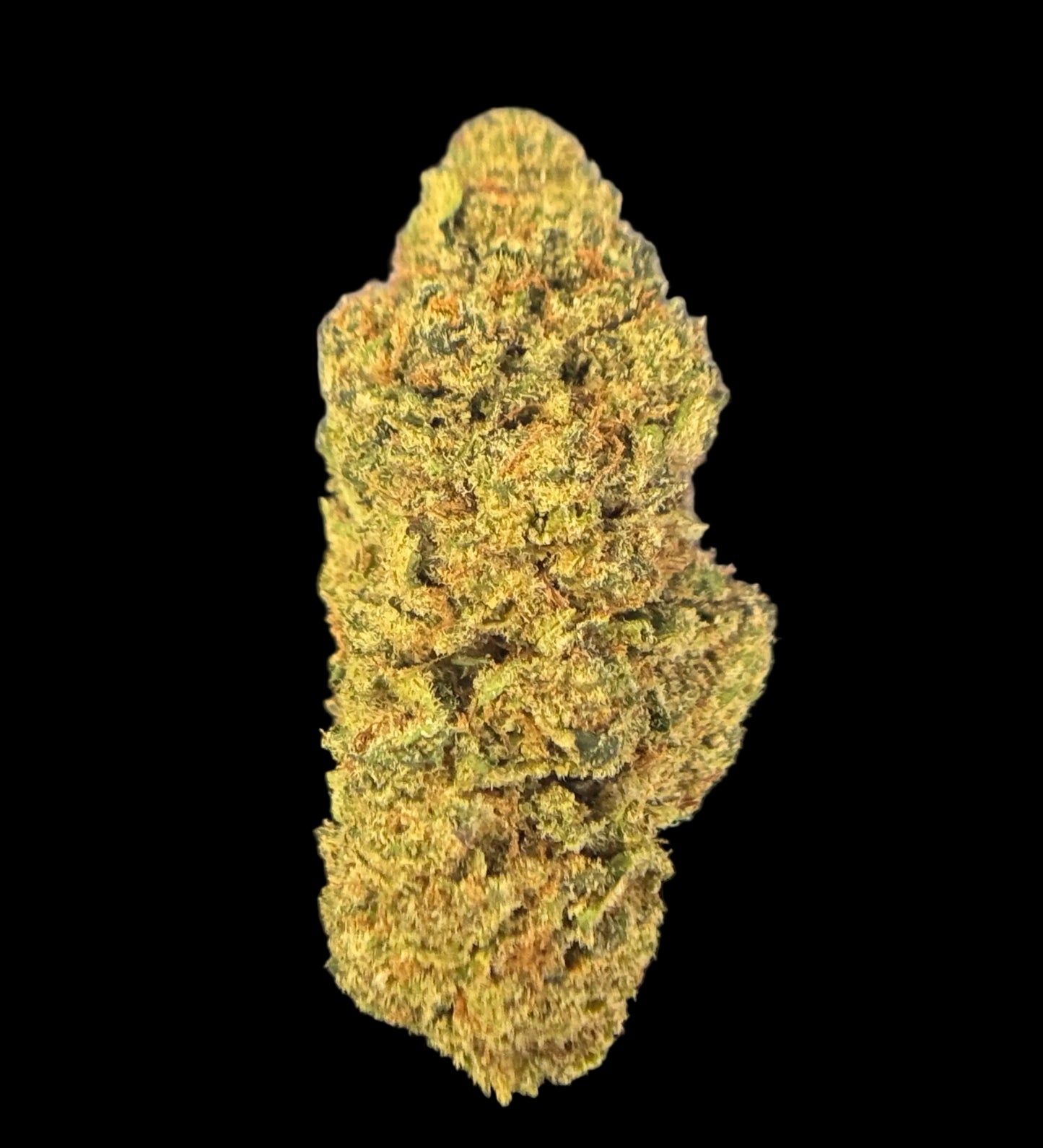 Peyton’s Strawberries (Type 3) [Indoor], 17.11% Total CBD/0.818% THCa (<0.3% Delta-9 THC)