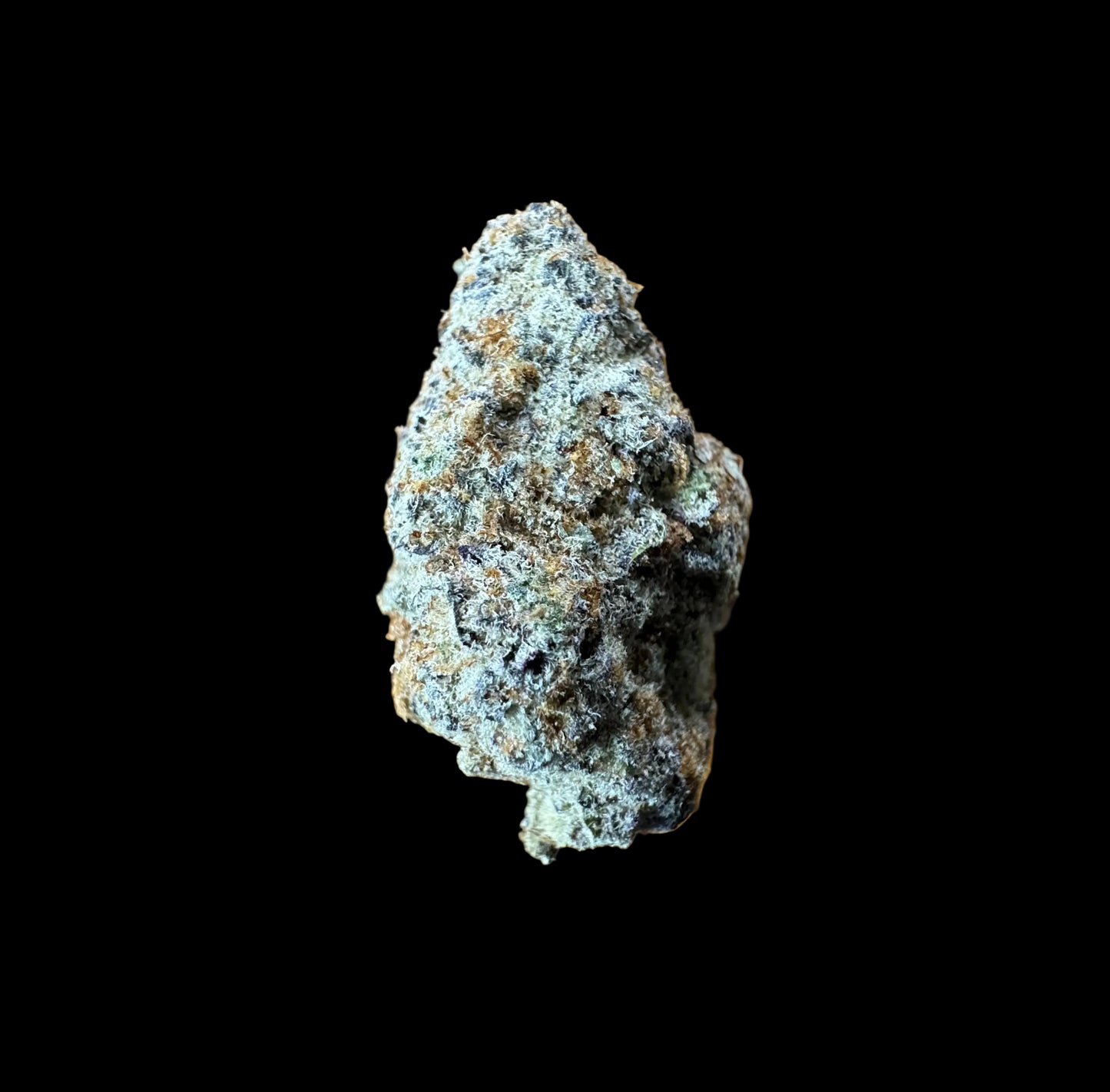 Astro (Type 1) [Exotic], 26.375% THCa, (<0.3% Delta-9 THC)