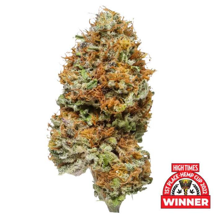 Blue Cheese #12 (Sativa) (Type 2), 7.86% THCa/4.62% CBDa, (<0.3% Delta-9 THC) (COMING SOON...)