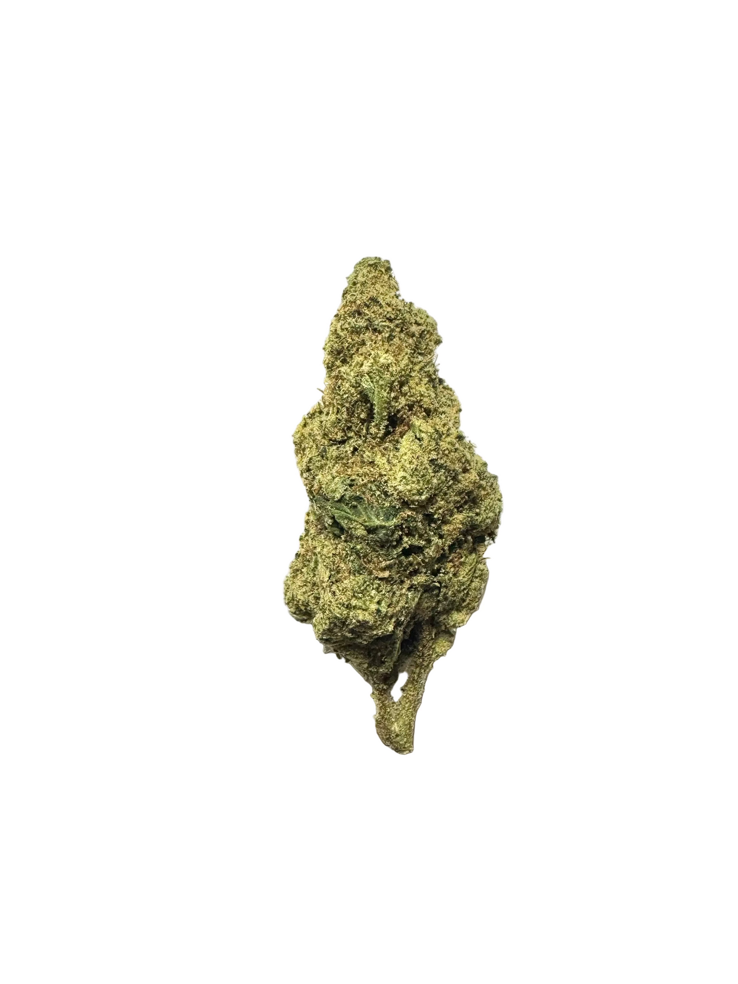 Gary Payton (Hybrid) (Type 1), 33.05% THCa, (<0.3% Delta-9 THC)