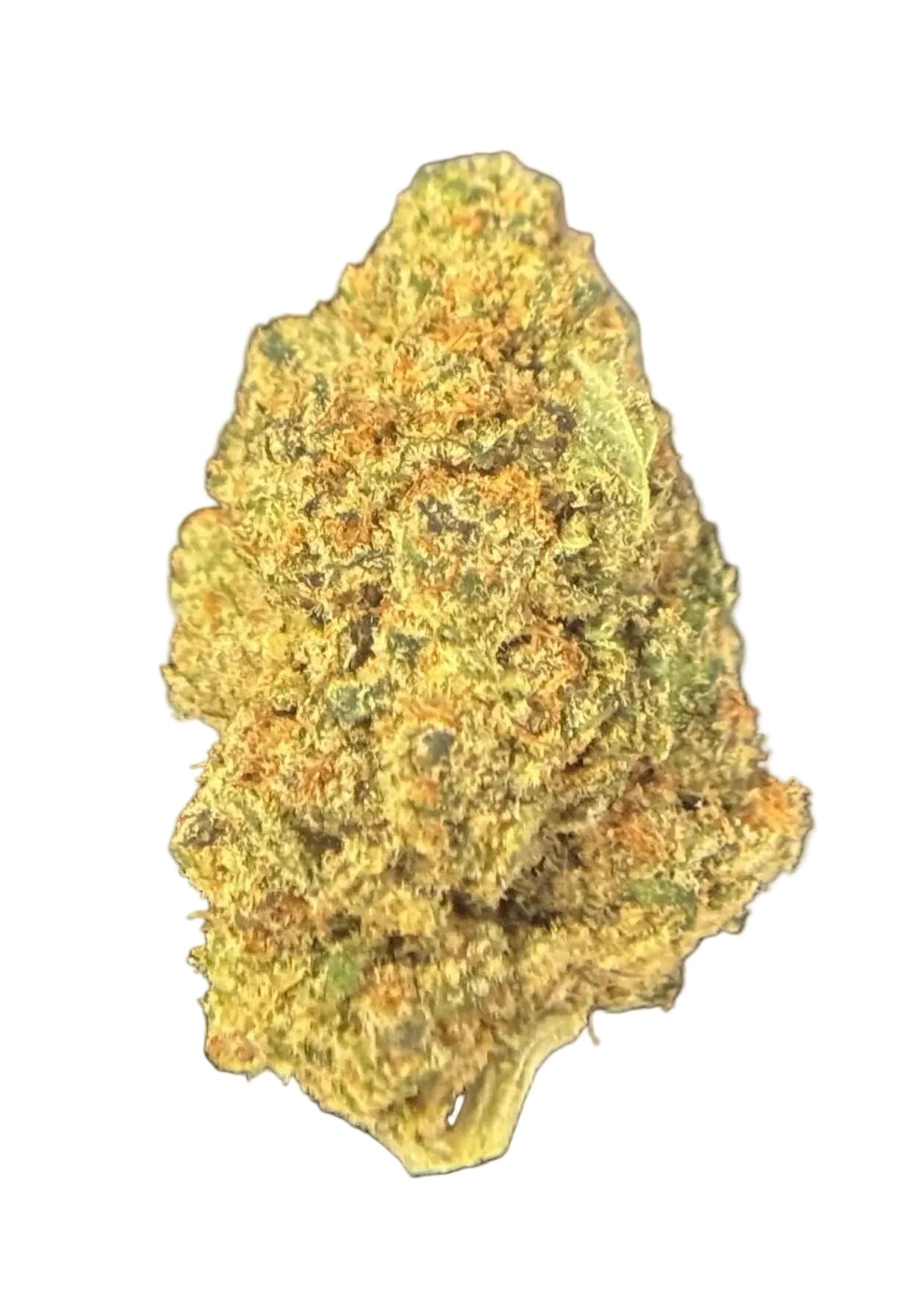 Peyton’s Strawberries (Type 3) [Indoor], 17.11% Total CBD/0.818% THCa (<0.3% Delta-9 THC)