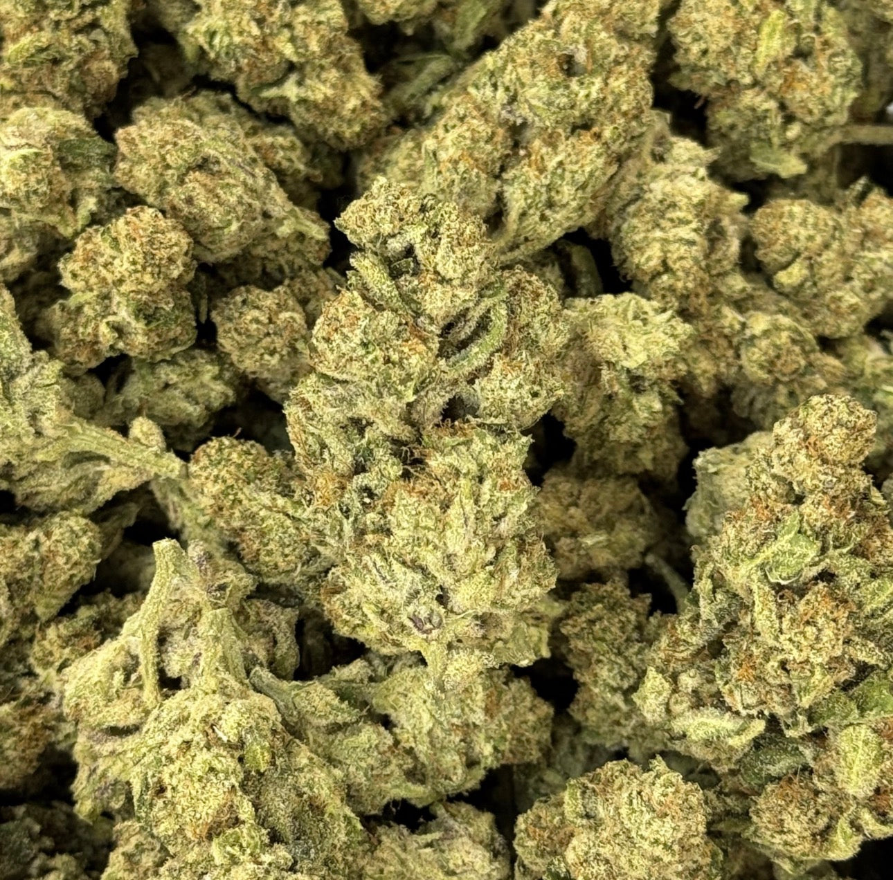 Sweet Tartz (Hybrid) (Type 1), 26.697% THCa, (<0.3% Delta-9 THC)