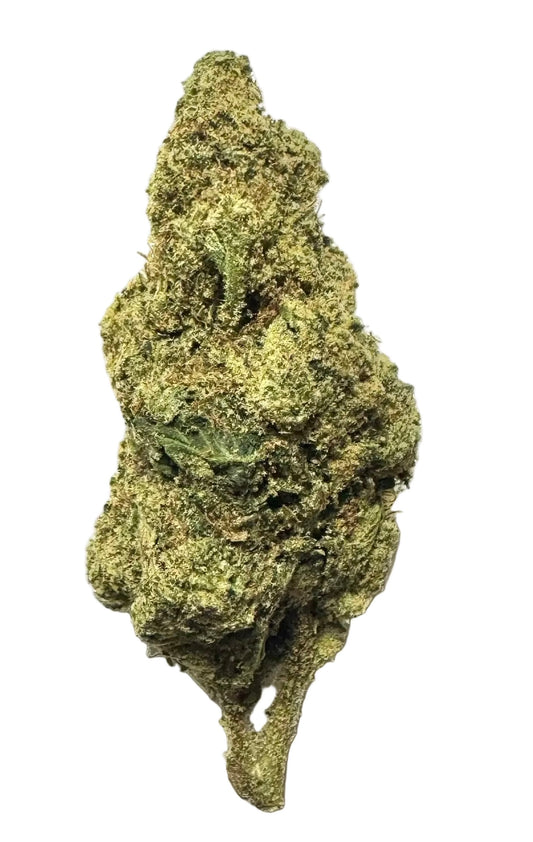 Gary Payton (Hybrid), 33.05% THCa, <0.3% Delta-9 THC