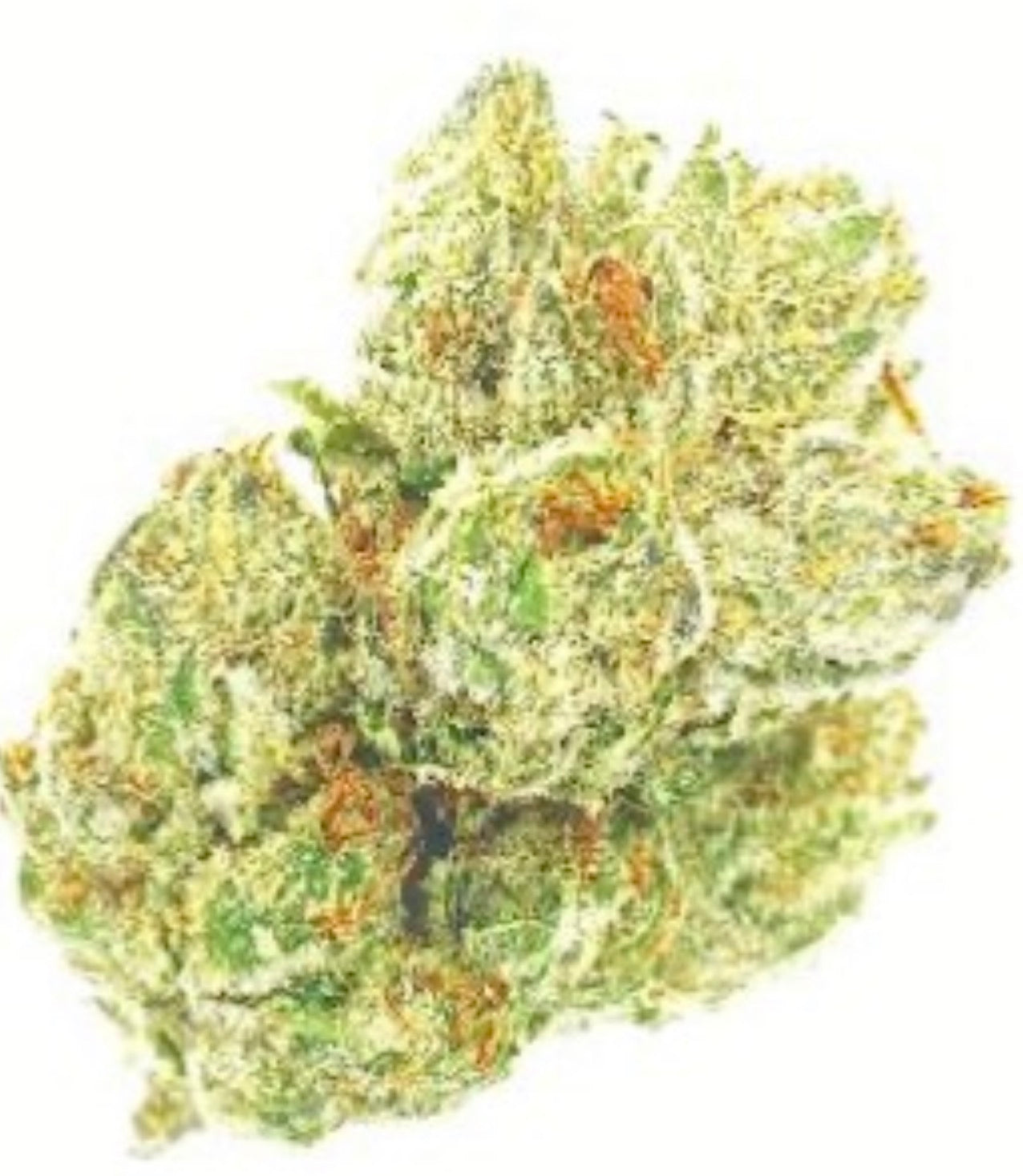 Illuminati [Smalls] (Indica) (Type 1 strain), 29.39% THCa, 1.328% CBGa (<0.3% Delta-9 THC) (Coming soon…)