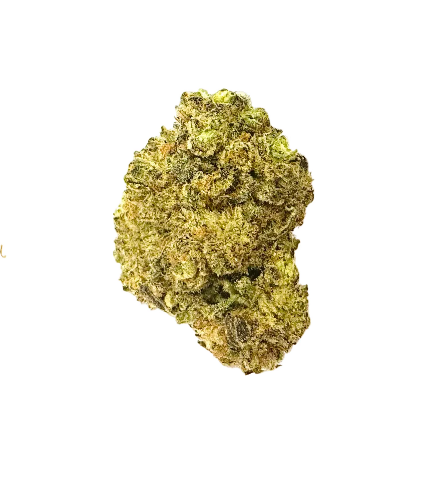 Blue Alien 👽 (Indica)(Type I), 27.115% THCa, (<0.3% Delta-9 THC)