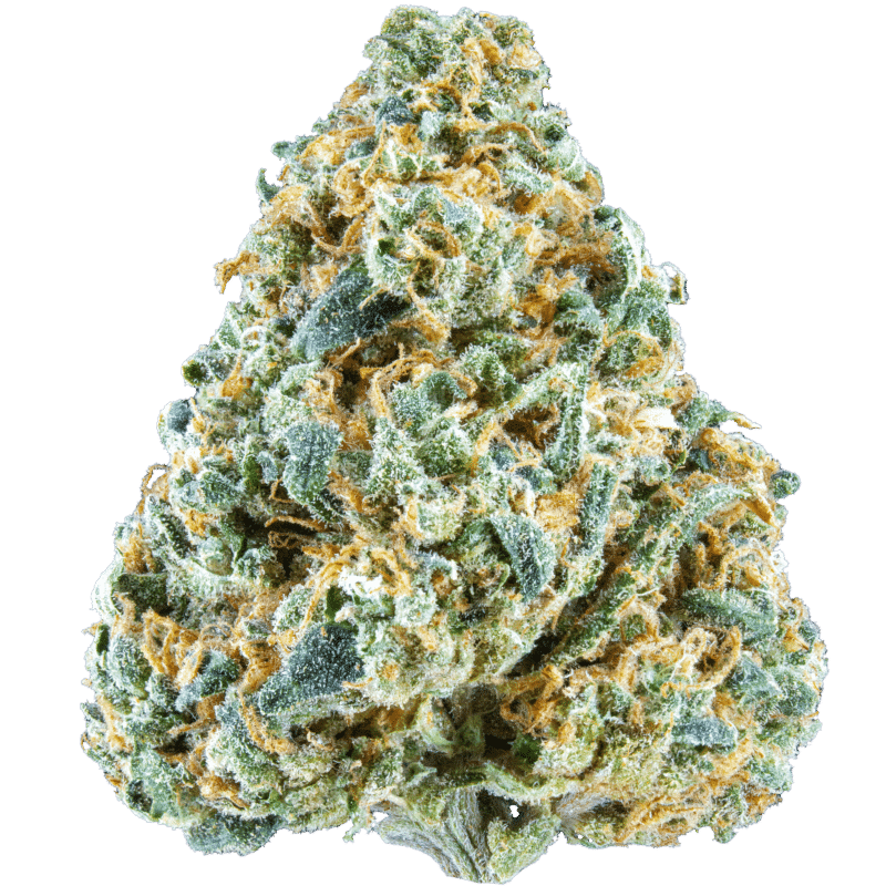 Ice Capades [smalls] (Indica) (Type 3), 15.805% Total CBD/0.850% THCa, 17.869% Total Cannabinoids (Coming soon...)