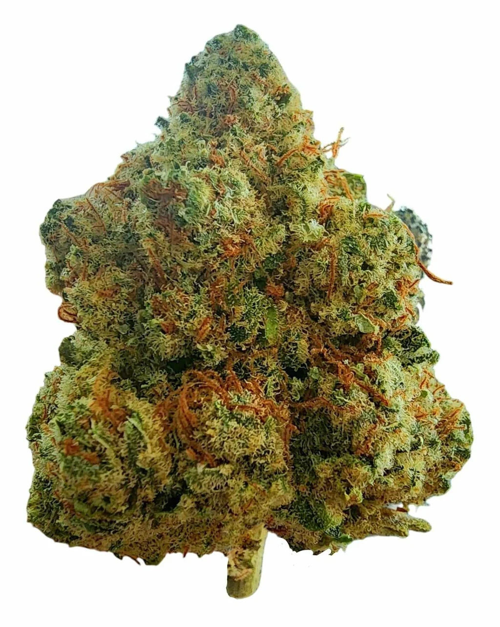 Snack Time (Indica) (Type 3), 18.1% CBDa/0.695% THCa,(<0.3% Delta-9 THC)