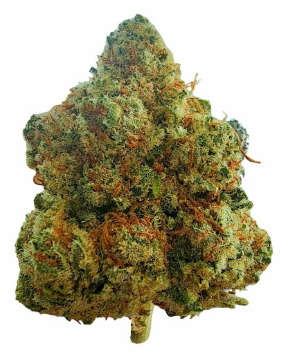 Snack Time (Indica) (Type 3), 18.1% CBDa/0.695% THCa,(<0.3% Delta-9 THC)