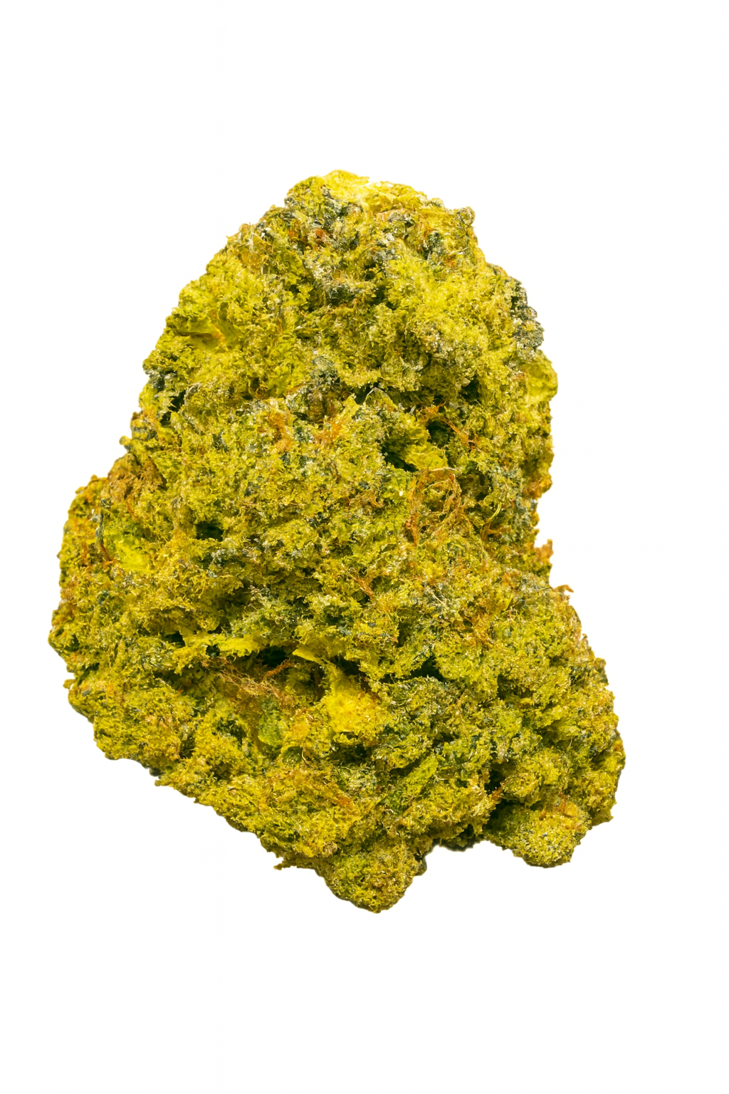 Gary Payton (Hybrid), 30.263% THCa