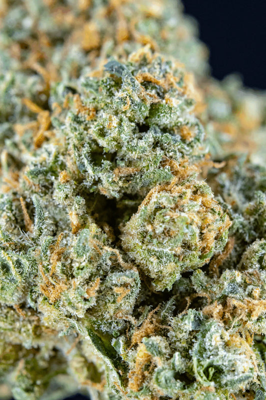 Cryo Queso (smalls) (Hybrid) [Type 2], 9.085% CBDa/9.185% THCa, (<0.3% Delta-9 THC)