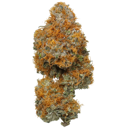 Orange Apricot MAC [Exotic] (Sativa), 14.76%-21.50% THCa, (<0.3 Delta-9 THC)