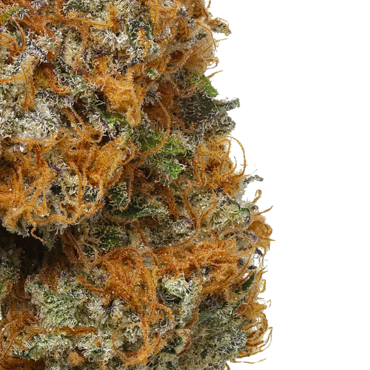 Orange Apricot MAC [Exotic] (Sativa), 14.76%-21.50% THCa, (<0.3 Delta-9 THC)