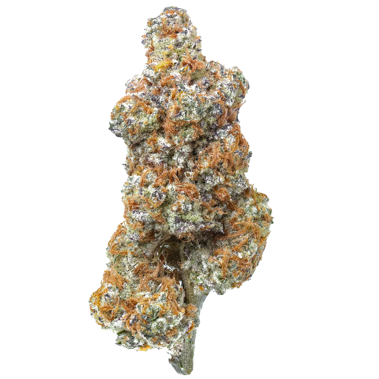 Pablo’s Pineapple 🍍 (Hybrid) [Exotic] (Type 1), 30.575% THCa (<0.3% Delta-9 THC) (Coming Soon…)